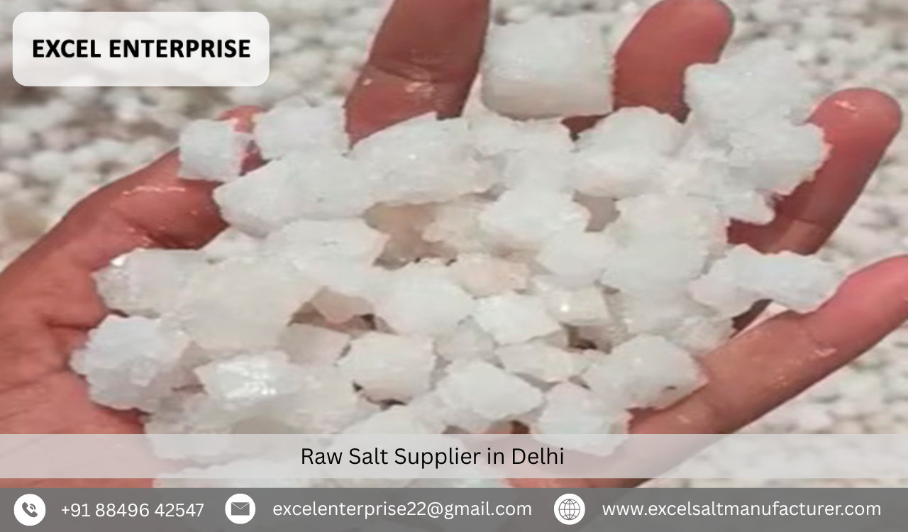 Raw Salt Supplier in Delhi