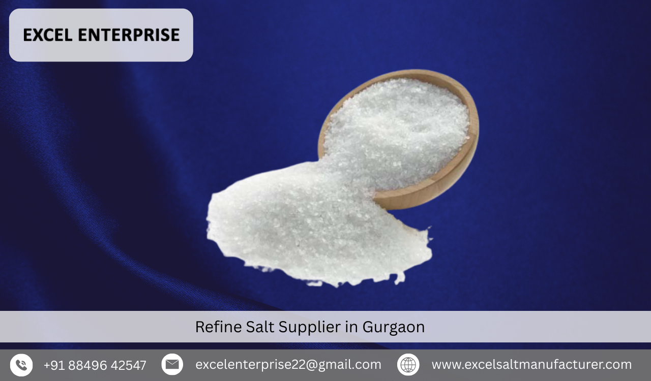 Refine Salt Supplier in Gurgaon